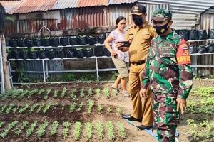 Inovasi KWT Kasiturusan Birobuli Selatan Wujudkan Ketahanan Pangan