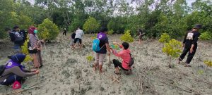 Kolaborasi Komunitas Motor dan Penggiat Alam Bebas di Touna Programkan 1 Juta Mangrove