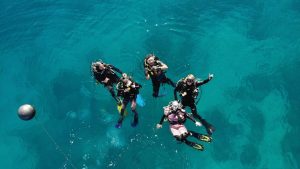 Keindahan Bawah Laut Tersembunyi di Pantai Lolaro Kecamatan Tinombo