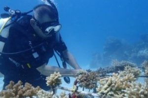 8.000 Hektare Terumbu Karang di Togean Hancur Akibat Destruktif Fishing