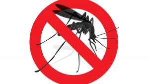 BTKLPP Kemenkes Lakukan Kajian Kelayakan Eliminasi Malaria di Parigi Moutong