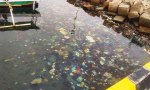 ‘Tong Sampah’ di Teluk Tomini Parigi Moutong, Pemerhati Lingkungan: Merubah, Sosialisasi Bukan Solusi
