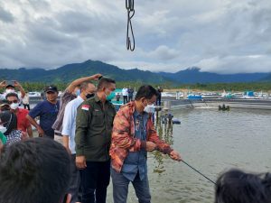 Gubernur Sulteng Panen Total Udang Vaname di Sijoli Moutong