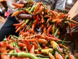 Harga Cabai di Parimo Merangkak Naik, Berikut Daftar Harganya