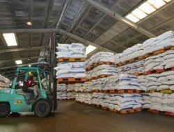 Petani Sawah di Parimo Kesulitan Akibat Pembatasan Pupuk Subsidi