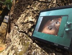 Pameran Foto PFI Medan Manfaatkan Tebing Batu Rock Island