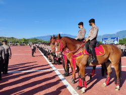 Ferdinand dan Medinas’s Boy, 2 Ekor Kuda Milik Polda Sulteng Jenis Wormblood