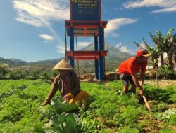 Padat Karya Kementerian PUPR Serap 23.648 Tenaga Kerja