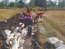 Pembangunan Irigasi Kementerian PUPR Tersebar di 8.945 Titik
