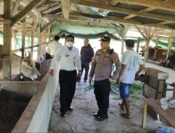 Wabah PMK, Polisi di Banggai Intens Cek Kandang Ternak