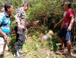 Pria di Banggai Ditemukan Tewas Usai Meneguk Racun