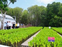 Presiden Jokowi: Kita Siap Menerima Tamu G20