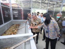 Manfaat Lalat di Teknologi Pengolahan Sampah Biokonversi