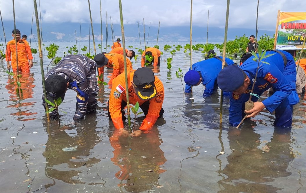 Basarnas Palu Tanam 100 Bibit Mangrove di HUT ke-51