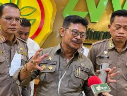 Menteri Pertanian Pastikan Ketersediaan Beras di Januari-Maret
