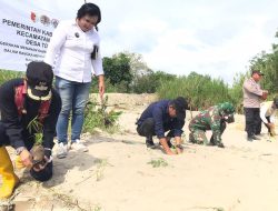 Penanaman Sejuta Bambu, Program Pemda Sigi Atasi Banjir