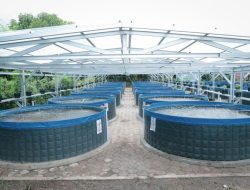 DKP Parigi Moutong Gagas Budidaya Ikan Air Tawar