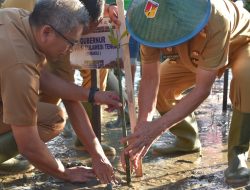 Pemprov Sulteng Ikuti Penanaman Mangrove Bersama Jokowi