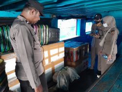 Jeroan Sapi Ilegal Asal Maluku Utara Diamankan di Banggai