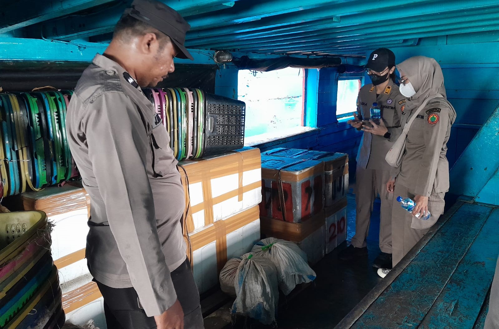 Jeroan Sapi Ilegal Asal Maluku Utara Diamankan di Banggai