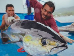 Indonesia Negosiasi Penambahan Kuota Penangkapan Tuna