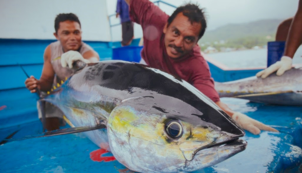 Indonesia Negosiasi Penambahan Kuota Penangkapan Tuna