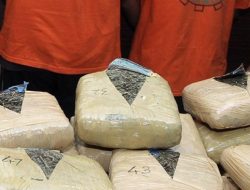 Pasutri Pengedar Ganja di Aceh Dibekuk Polisi