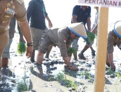 Kementan Dorong Upaya Memperlambat Konversi Lahan Pertanian
