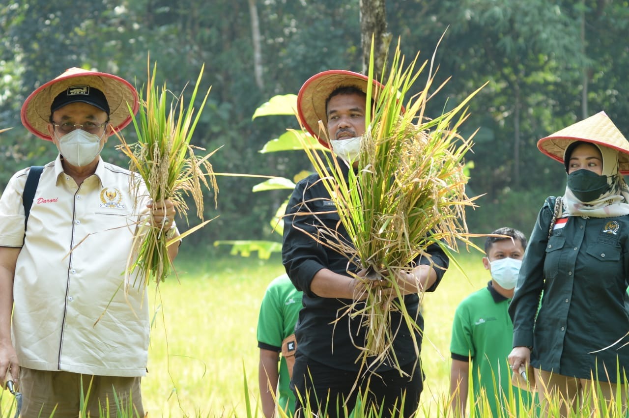 Kementan Dorong Pengembangan Pertanian Organik