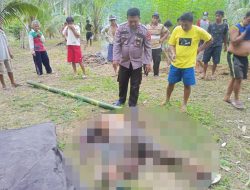 Lansia di Banggai Ditemukan Tewas, Polisi: Jenazah Mulai Mengeluarkan Bau Tak Sedap