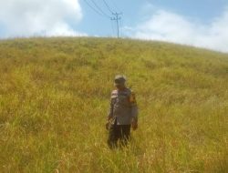 Cegah Karhutla, Polisi di Banggai Rutin Melakukan Monitoring