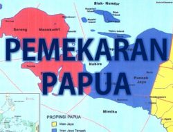 Wapres Instruksikan Percepatan Pembangunan Sarana Prasarana Pemerintahan di 4 DOB Papua
