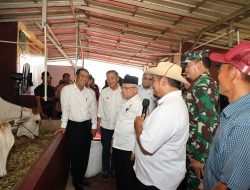 Jawab Persoalan Pangan, Wapres Hadiri Kick Off Gerakan Nasional Ketahanan Pangan