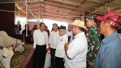 Jawab Persoalan Pangan, Wapres Hadiri Kick Off Gerakan Nasional Ketahanan Pangan