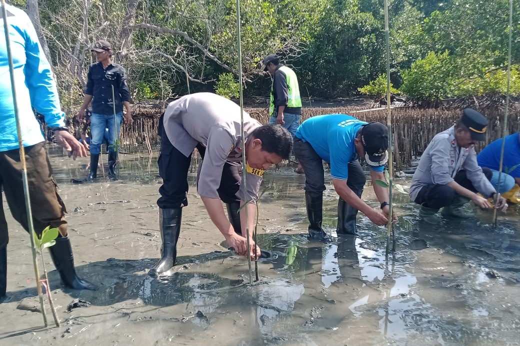 TNI-Polri di Kabupaten Banggai Terlibat Penanaman 200 Bibit Mangrove