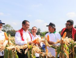 Menteri Pertanian: Sumut Berpotensi Penuhi Pangan Negara Lain