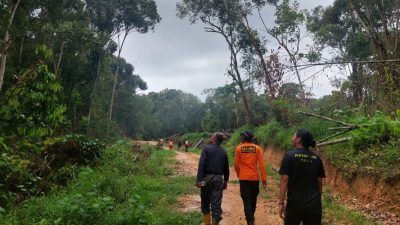 Warga Pencari Kayu Gaharu di Morowali Utara Dilaporkan Hilang