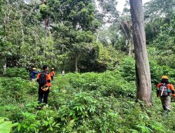 Dihentikan Sementara, Tim SAR Belum Temukan Tanda-tanda Lansia yang Hilang di Sigi