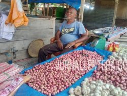 Harga Stabil, Bawang Merah Enrekang dan Bima Berjaya di Parigi