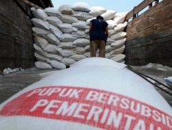 Tanggapi Keluhan Petani soal Kelangkaan Pupuk, Dinas TPHP Parigi Moutong “Ngaku” Pantau Pengecer