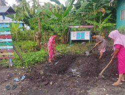 Warga Desa Lebo di Parigi Moutong Manfaatkan Pekarangan Garap Kebun Toga