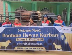 Pertamina Salurkan 4.493 Hewan Kurban