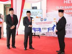 Kemendagri Salurkan 743 Hewan Kurban dan Santuni Anak Yatim