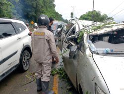 2 Unit Mobil Terseret Longsor saat Melintasi Jalur Pegunungan Palasa Lombori di Parigi Moutong