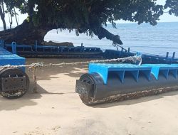 Janggal Proyek Pengadaan Bibit Ikan Dislutkan Parigi Moutong 2023 Bernilai Ratusan Juta