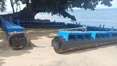 Janggal Proyek Pengadaan Bibit Ikan Dislutkan Parigi Moutong 2023 Bernilai Ratusan Juta