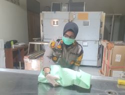 Pemulung Sampah Temukan Mayat Bayi di TPA Palu