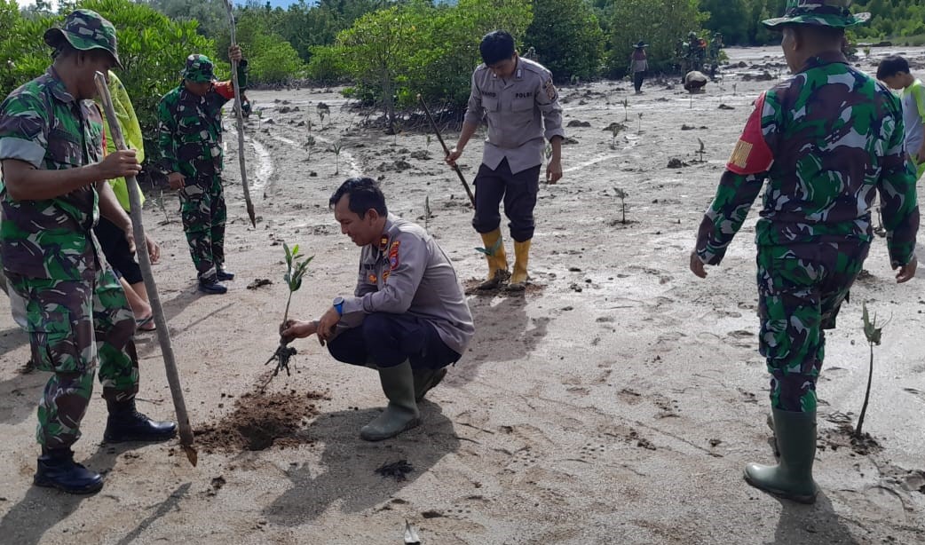 Hari Juang TNI-AD 2024 di Tojo Una-Una Diperingati dengan Menanam Mangrove