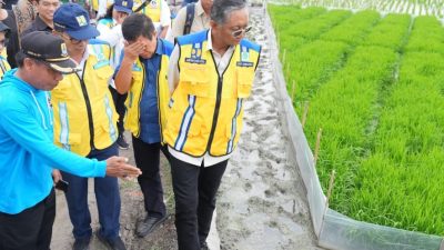 Menteri PU: Metode IPHA, Revolusi Budidaya Padi Hemat Air Tingkatkan Produksi Gabah