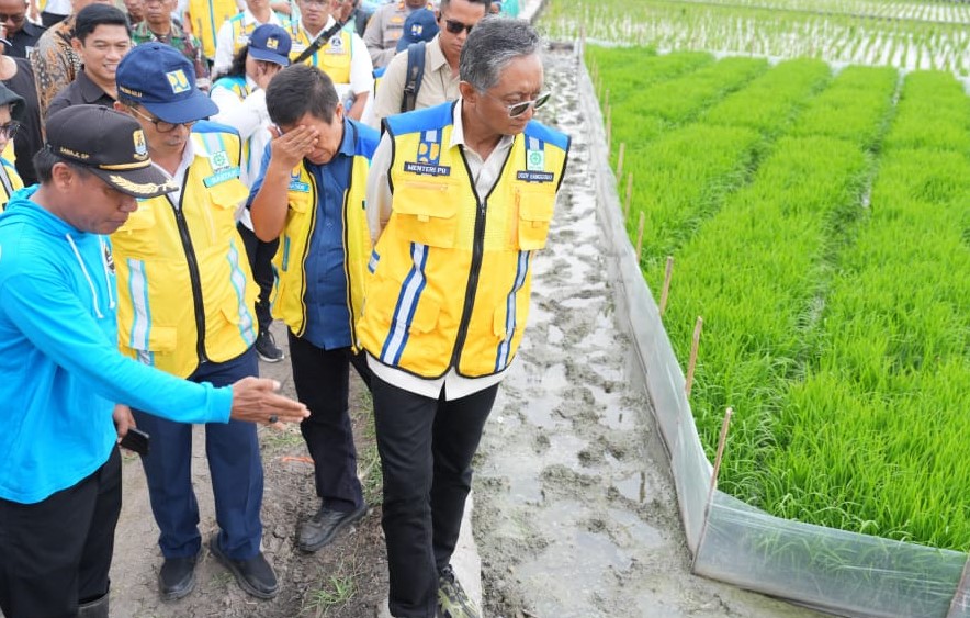 Menteri PU: Metode IPHA, Revolusi Budidaya Padi Hemat Air Tingkatkan Produksi Gabah